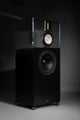 Qualio IQ 30 Loudspeaker